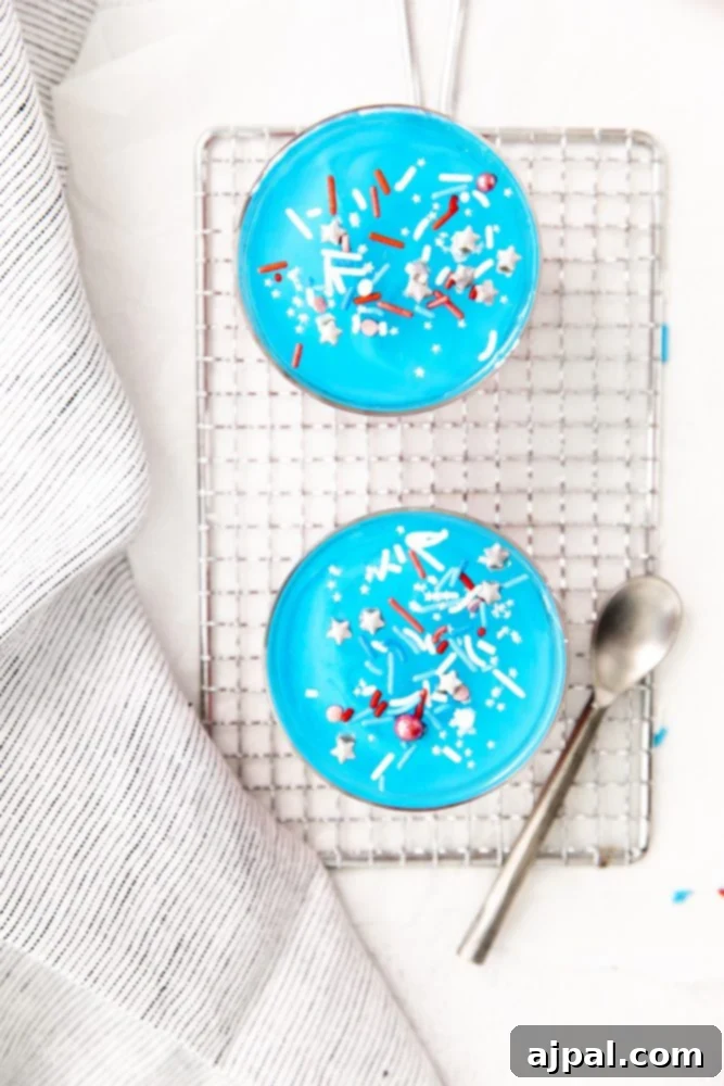 Star-Spangled Jello Cups 3 Two fourth of July dessert bowls of blue ice cream with sprinkles on top.