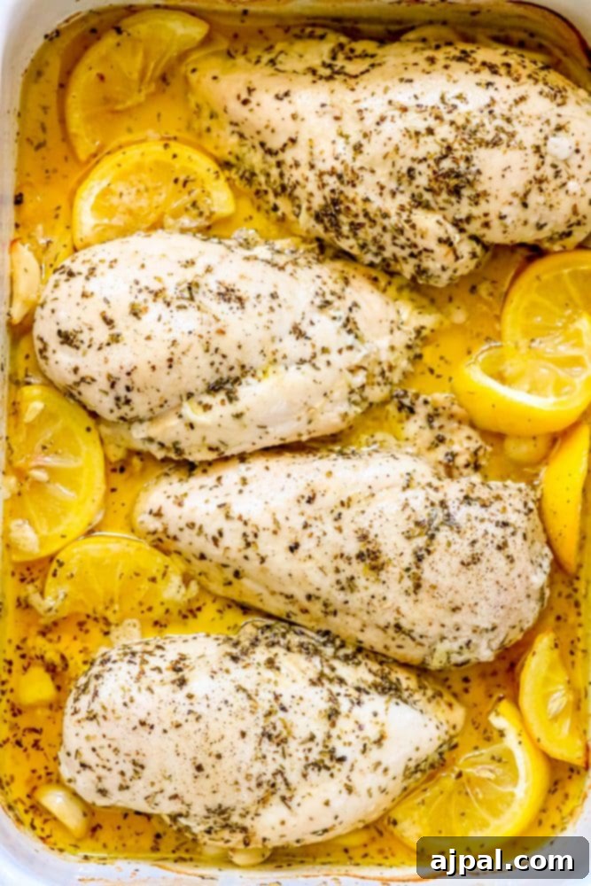 Quick and Easy Garlic Lemon Baked Chicken Breasts 2 Lemon garlic chicken breasts baked in a dish with lemon slices.