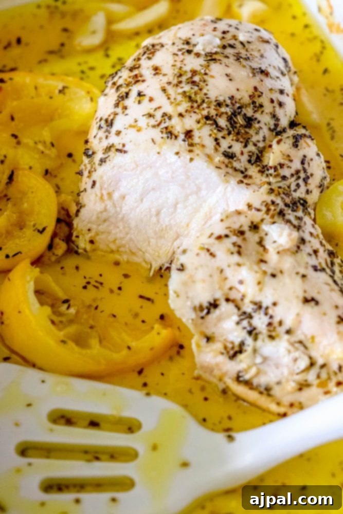 Quick and Easy Garlic Lemon Baked Chicken Breasts 9 A chicken breast in a white dish with lemon and herbs, baked with garlic.