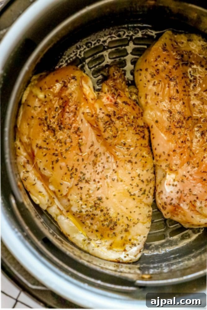raw seasoned chicken breasts in the air fryer basket, ready to cook
