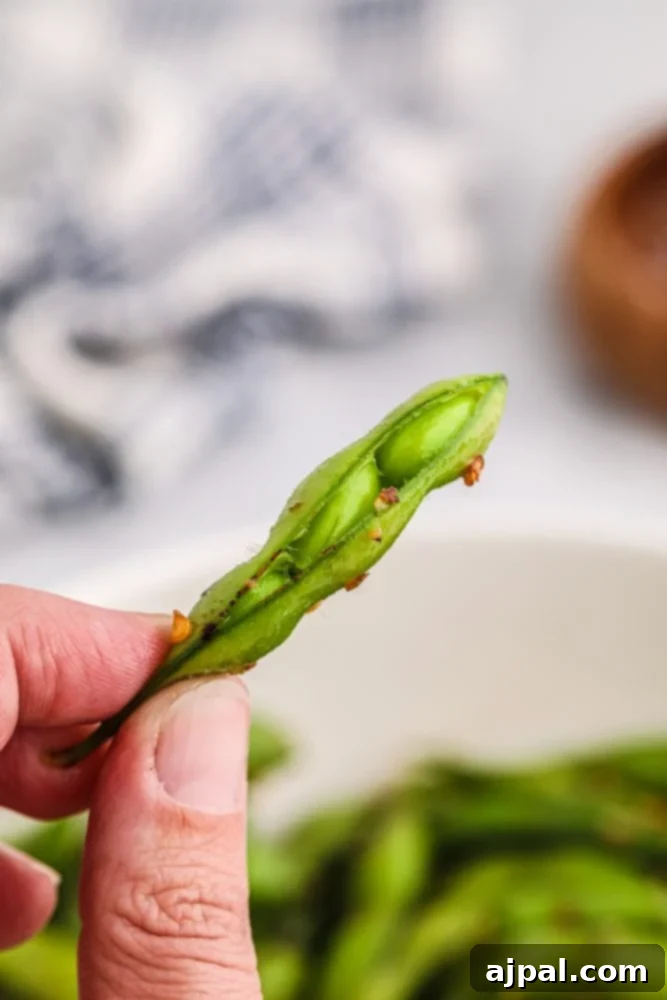 A close-up, detailed view of a single edamame pod, showcasing its distinctive fuzzy texture and bright green color, held gently in a hand.