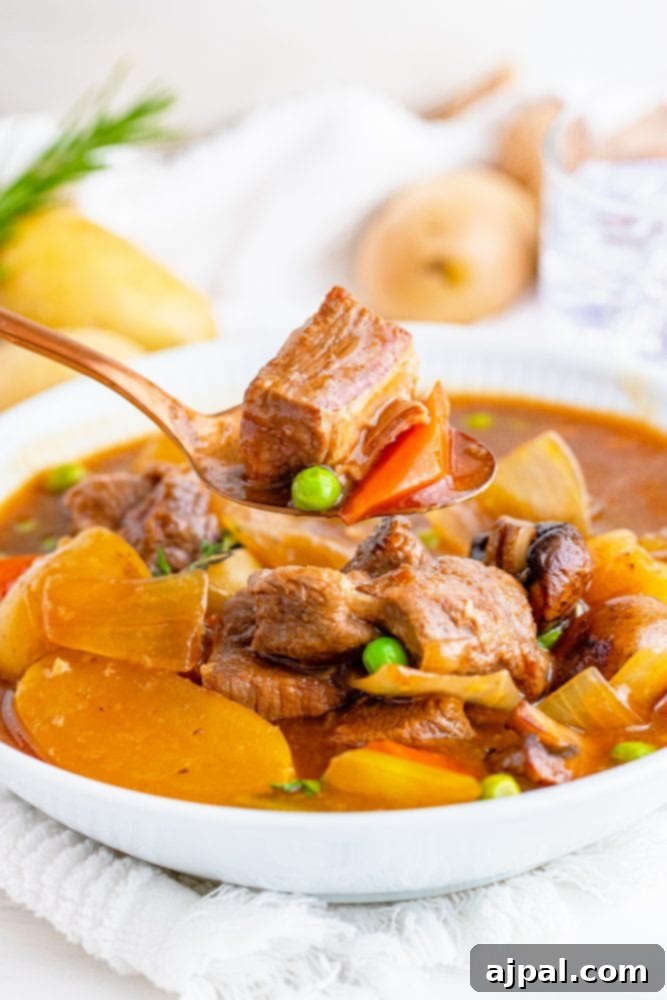 A close-up of venison stew served in a white bowl with a spoon, highlighting the rich broth and diverse ingredients.