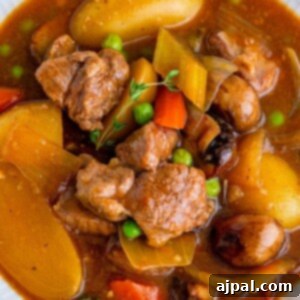 venison stew in a dutch oven