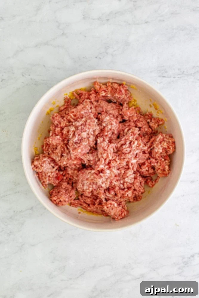 picture of meat being mixed with meatball ingredients in a bowl 