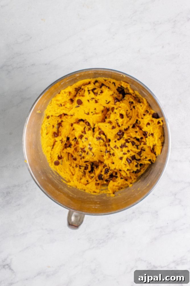 The finished edible pumpkin chocolate chip cookie dough in a bowl, with chocolate chips mixed in and ready to be served.