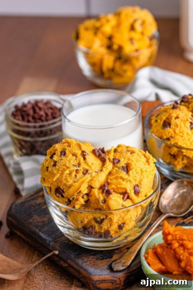A bowl of pumpkin ice cream with chocolate chips, showcasing a delicious dessert made with edible cookie dough.