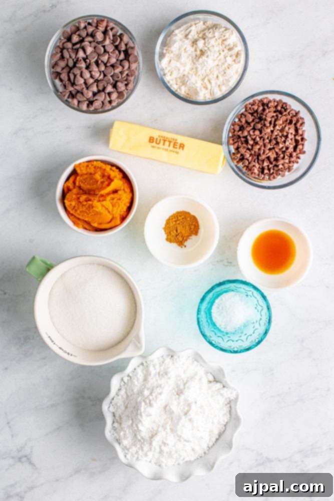 Various edible chocolate chip pumpkin cookie dough ingredients neatly arranged on a table, ready for preparation.