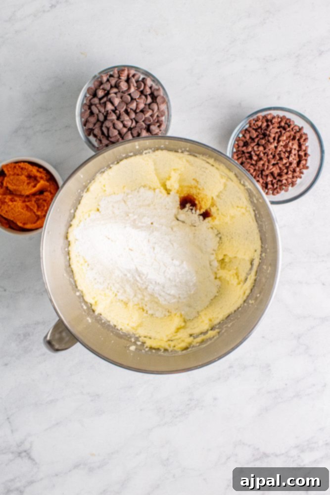 A bowl filled with the dry ingredients for edible pumpkin chocolate chip cookie dough, illustrating the mixing stage.