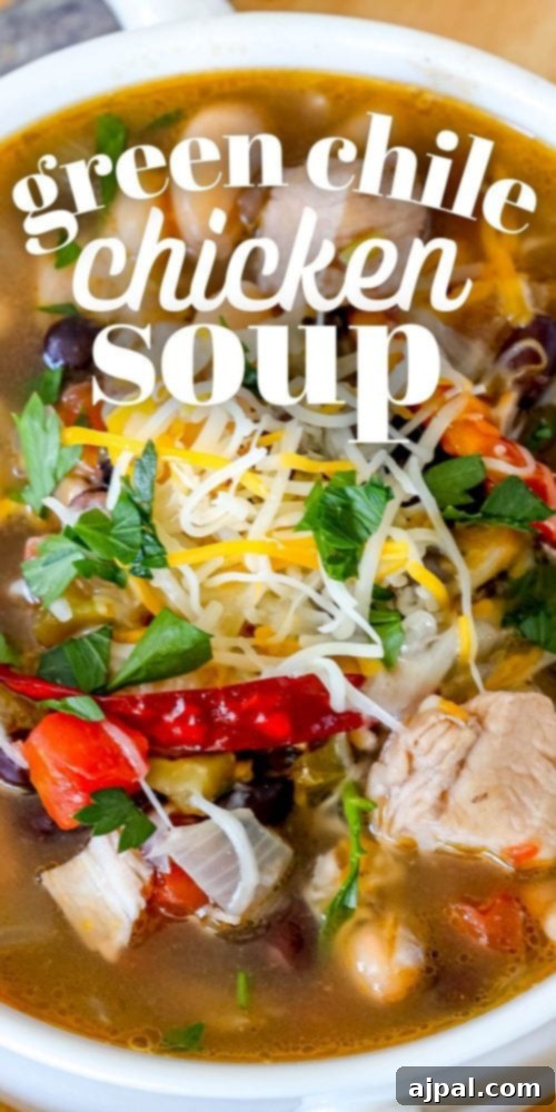 A cozy bowl of spicy green chile chicken soup, steam rising gently, promising warmth and comfort on a chilly day.