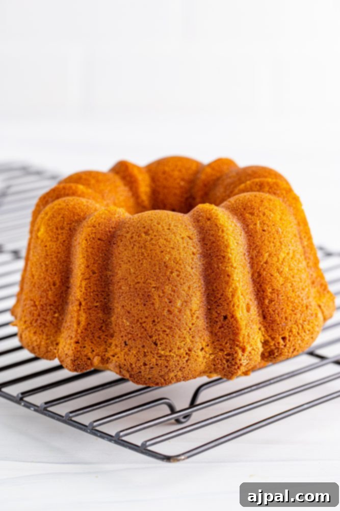 Perfect Air Fryer Pumpkin Bundt Cake 7 A golden-brown pumpkin bundt cake, just removed from its pan, cooling on a wire rack.
