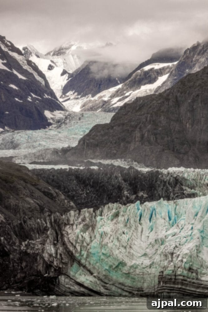 Cruising Post-Pandemic: A Reality Check 10 picture of Glacier Bay National Park