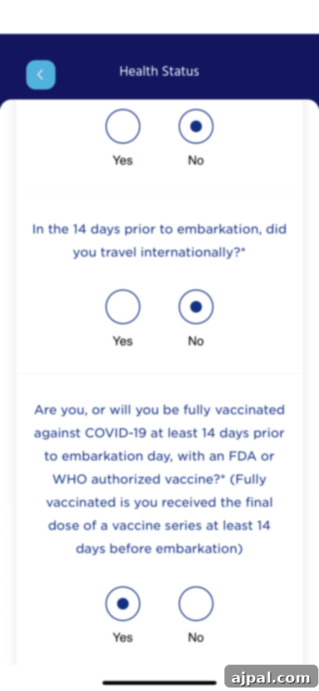 Post-Pandemic Cruising: What to Really Expect 15 picture of princess cruises health screening check in process