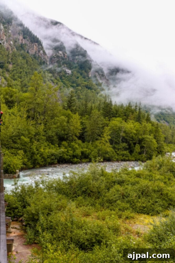 Cruising Post-Pandemic: A Reality Check 31 picture of skagway alaska