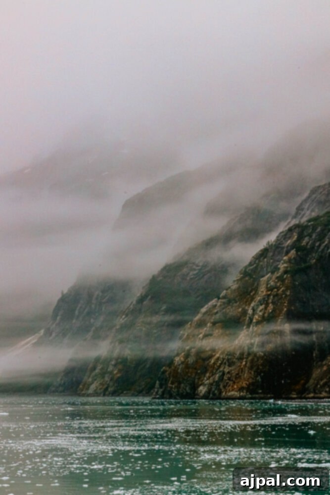 Post-Pandemic Cruising: What to Really Expect 33 picture of mist and mountains in glacier bay national park alaska
