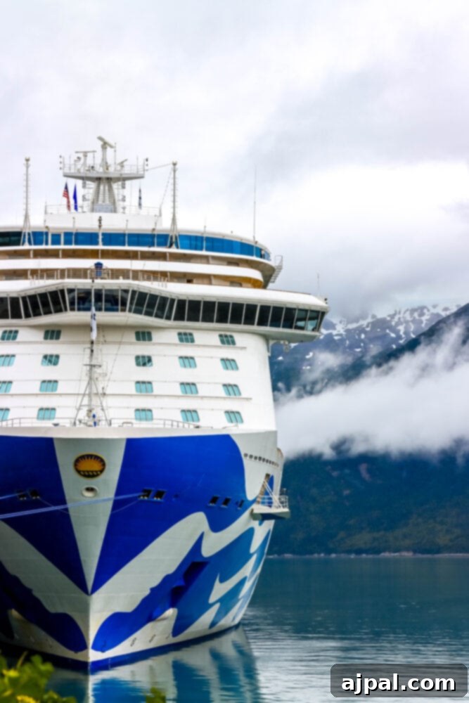 Post-Pandemic Cruising: What to Really Expect 35 picture of majestic princess cruise ship in port in skagway alaska