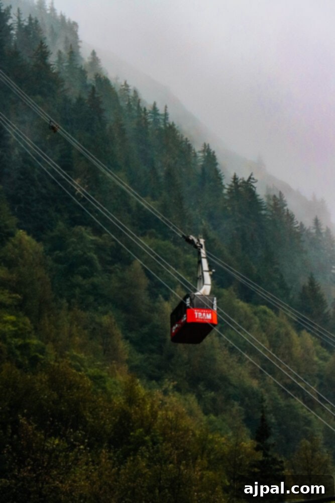 Cruising Post-Pandemic: A Reality Check 8 picture of the Juneau tram