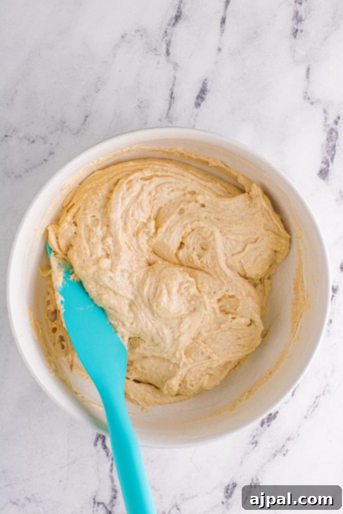 picture of bread dough mixed in a bowl