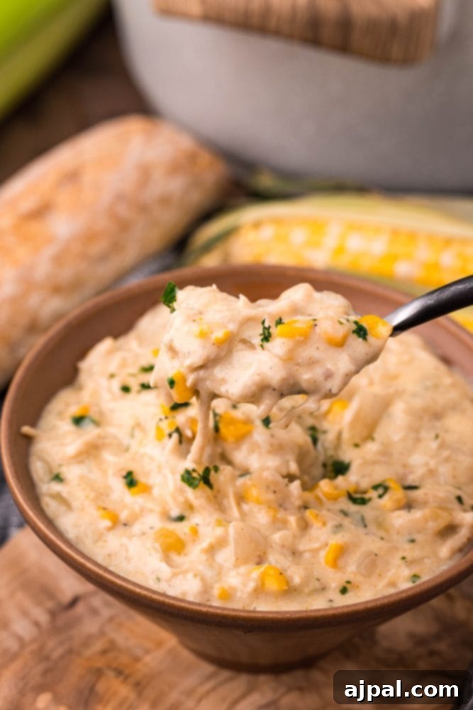 Creamy Corn Chowder 2 A close-up picture of creamy shredded chicken and corn chowder garnished with fresh parsley.