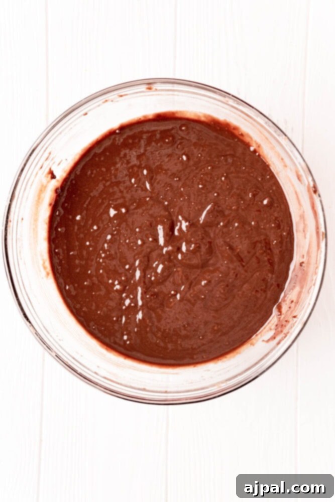 No-Bake Brownie Batter 5 A bowl of rich, mixed brownie batter with a glossy sheen, indicating it's perfectly combined and ready for the next step.
