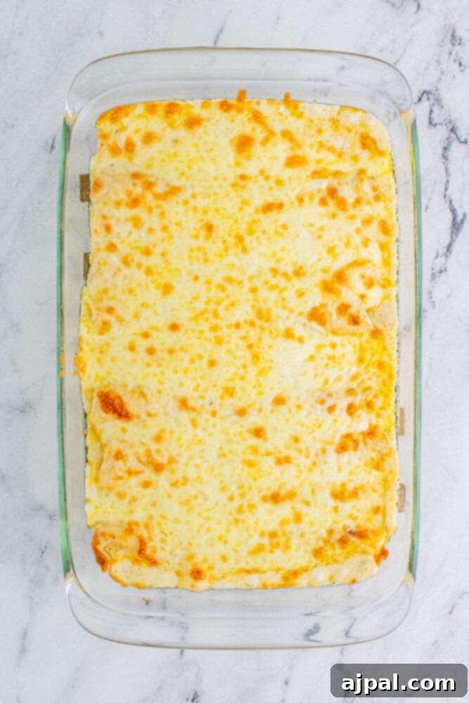 Freshly baked Buffalo Chicken Enchiladas, golden brown and bubbling hot straight from the oven.