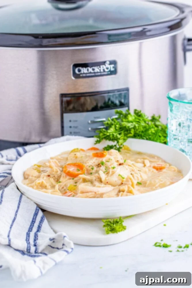 A bowl of piping hot chicken and dumplings, garnished with fresh parsley, sits beside a gleaming slow cooker, ready to serve.