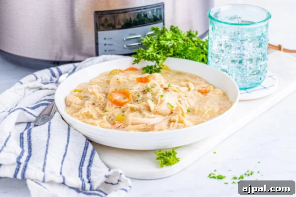 A generous serving of creamy chicken and dumplings in a white bowl, highlighting the tender chicken and fluffy dumplings, set against a cozy background.