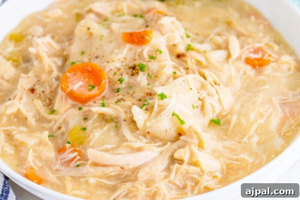 A comforting bowl of chicken and dumplings, garnished with fresh herbs, ready to be enjoyed as a hearty meal.