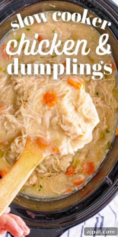 An overhead view of a slow cooker filled with the finished chicken and dumplings, ready for serving.