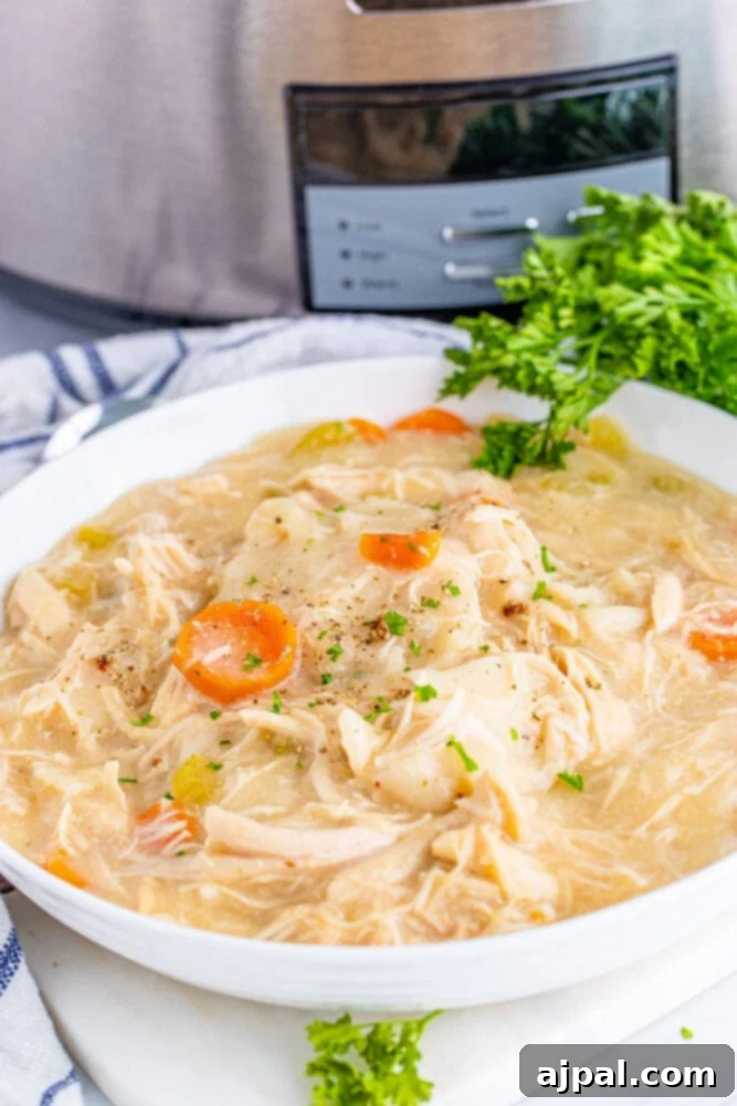A hearty bowl of chicken and dumplings, ready to be enjoyed, reflecting the warmth and comfort of a homemade meal.