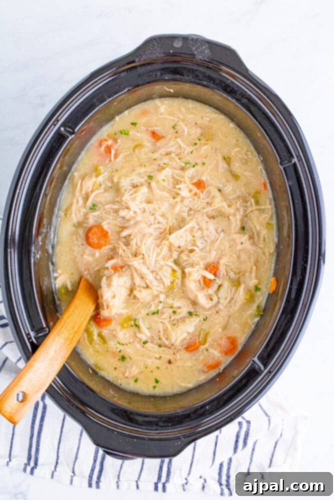 The rich, creamy texture of chicken and dumplings in a slow cooker, highlighting the fully cooked state.
