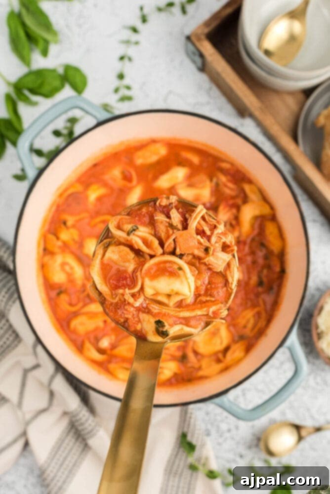 Serving tomato basil chicken tortellini soup with fresh basil