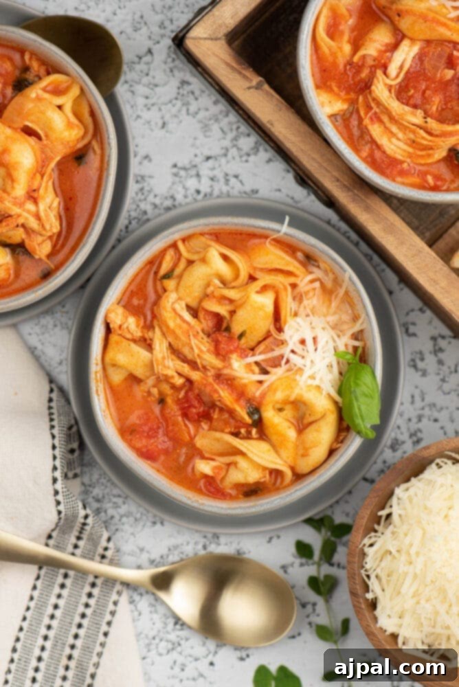 picture of tomato basil chicken tortellini soup in a bowl with a spoon in it