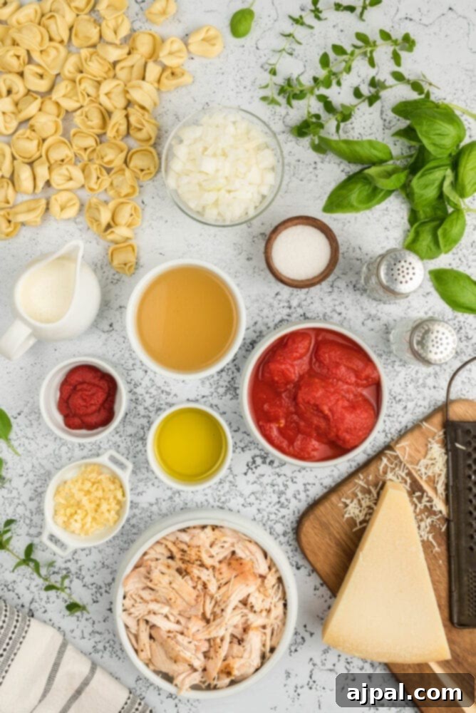 Preparing ingredients for tomato basil chicken tortellini soup