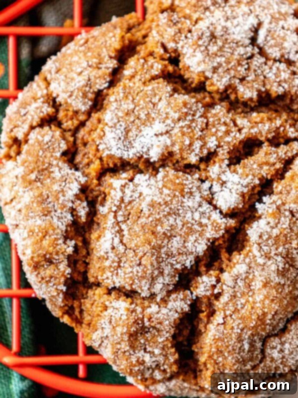 A soft gingerbread cookie on a wire rack with powdered sugar.