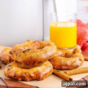 picture of cinnamon raisin bagels