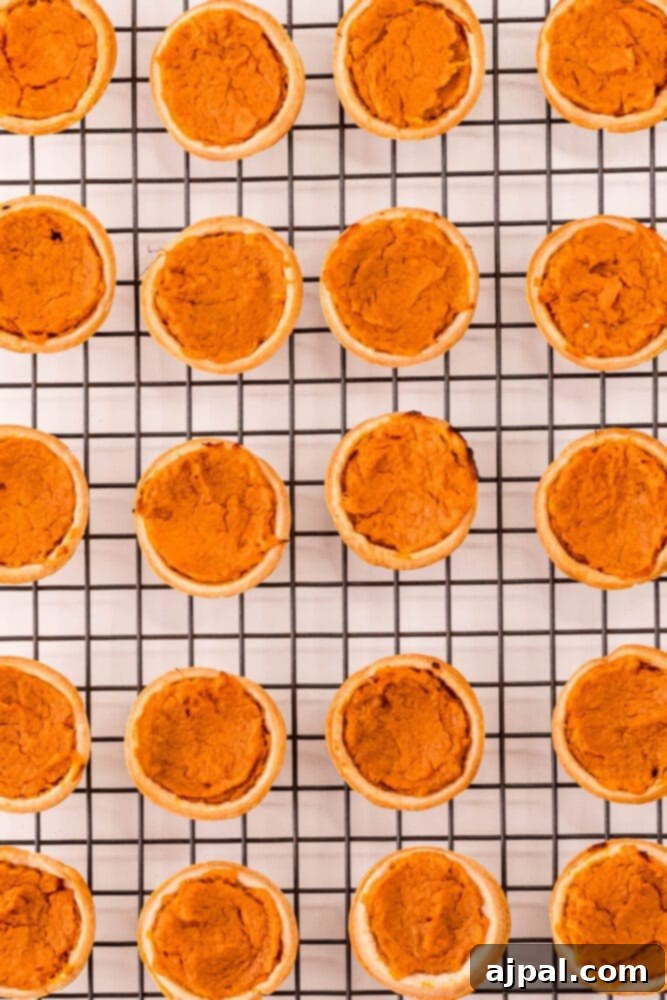 Freshly baked mini sweet potato pies cooling on a wire rack, their golden crusts and smooth filling anticipating a delicious topping.