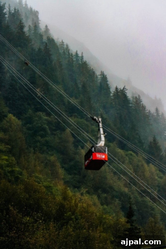 A vibrant red Juneau tram car glides gracefully above a dense, emerald-green forest, offering panoramic views of the Alaskan wilderness.