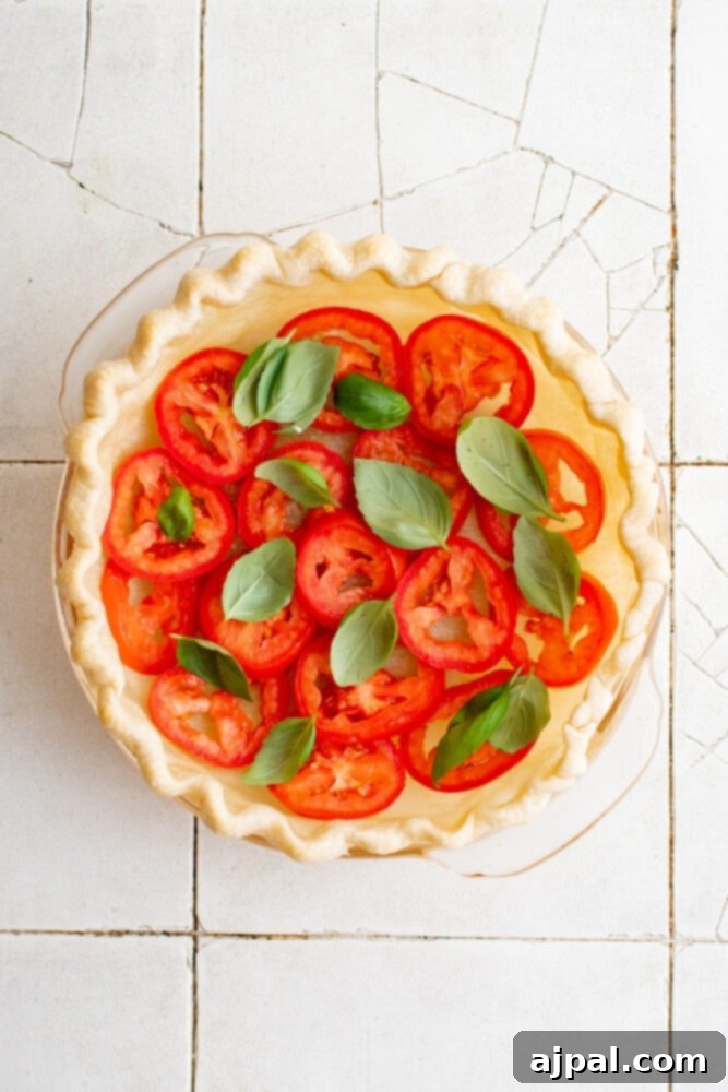 Simple Savory Tomato Pie 11 Fresh basil leaves layered over tomato slices in a pie crust, adding aromatic depth.