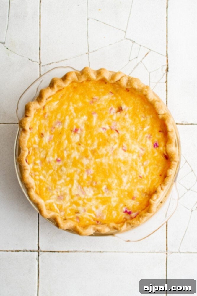 Simple Savory Tomato Pie 16 A freshly baked tomato pie, golden brown and bubbly, just out of the oven.
