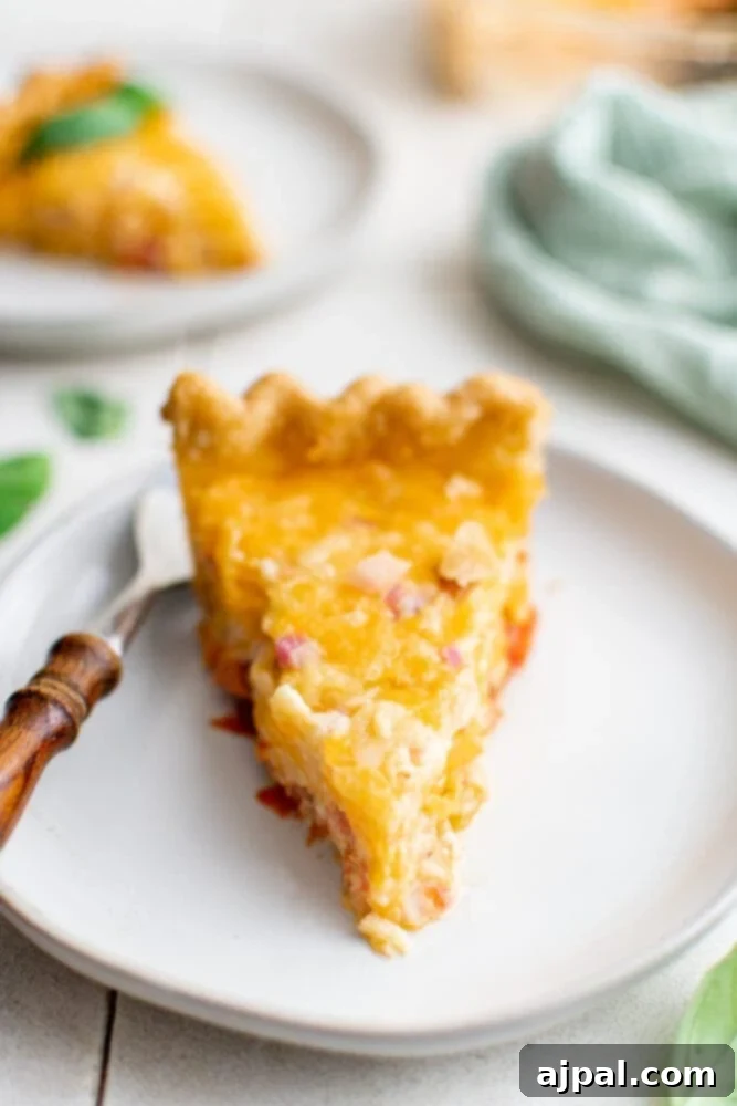 Simple Savory Tomato Pie 17 A delectable slice of baked tomato pie, showcasing its rich, cheesy layers and golden crust, served on a white plate.