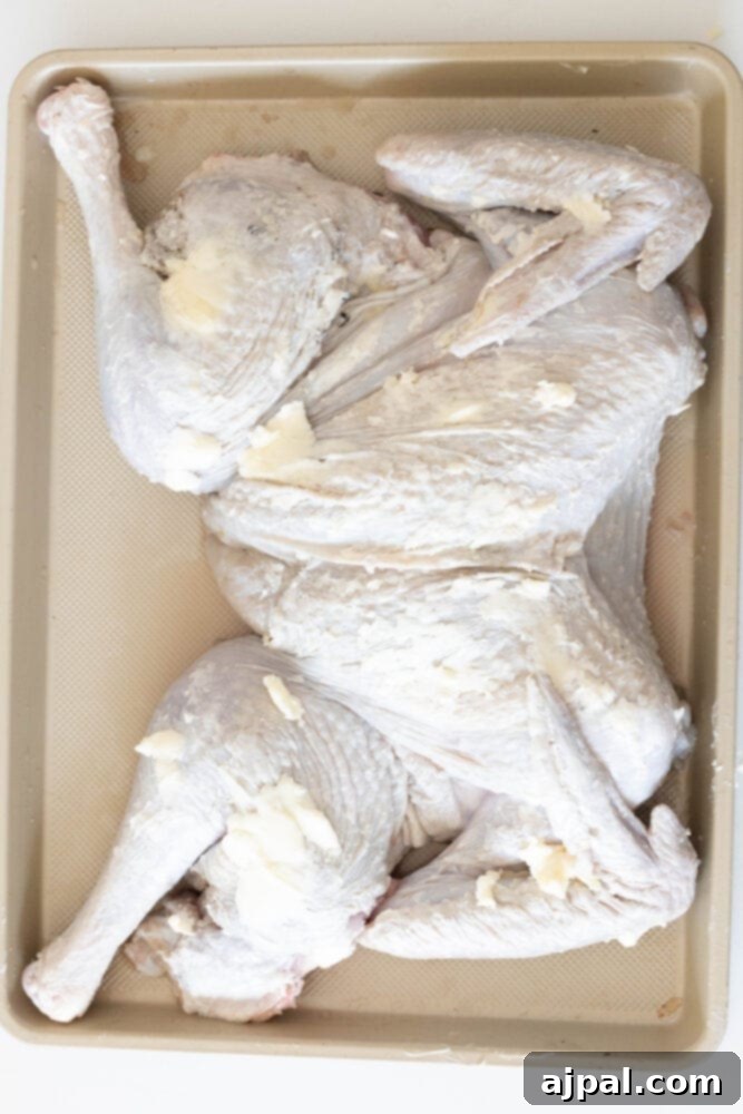 picture of buttered butterflied turkey on baking sheet