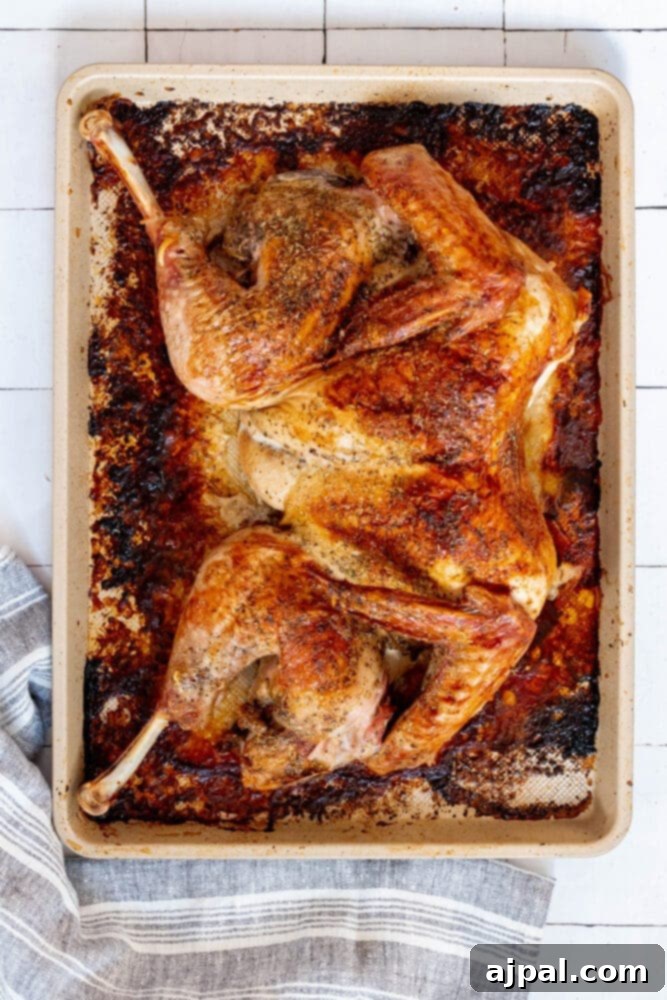 picture of roasted butterflied turkey on baking sheet