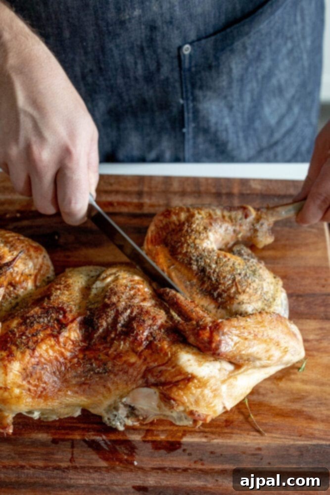 picture of knife carving turkey leg