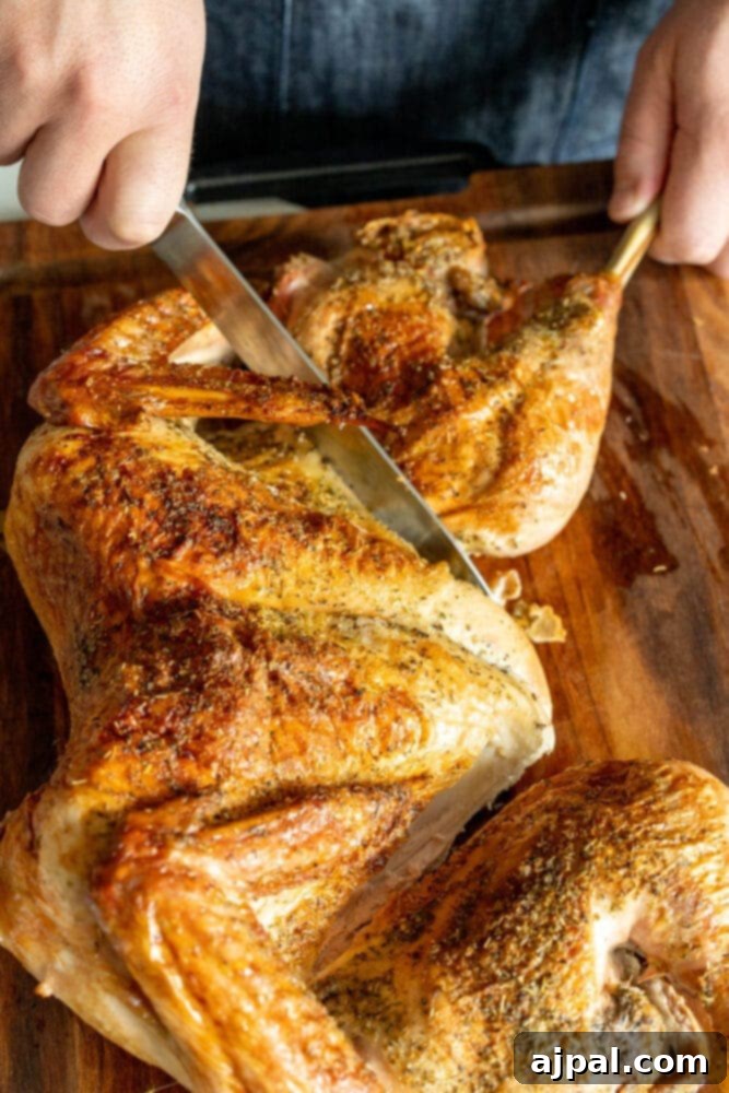 picture of knife carving turkey leg 