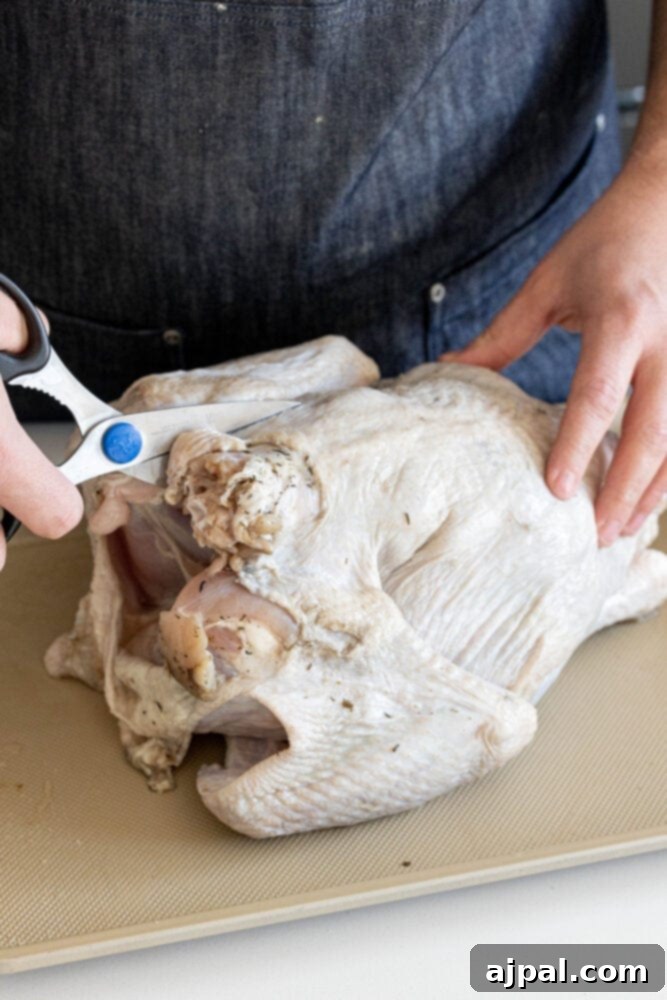 picture of scissors cutting down back of turkey