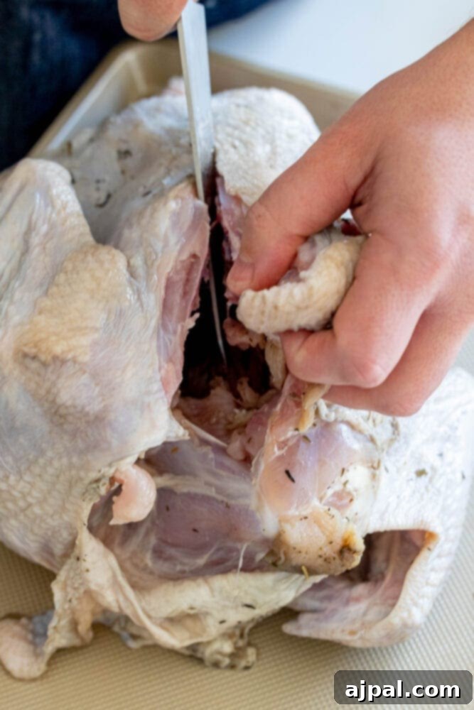 picture of knife cutting open turkey cavity