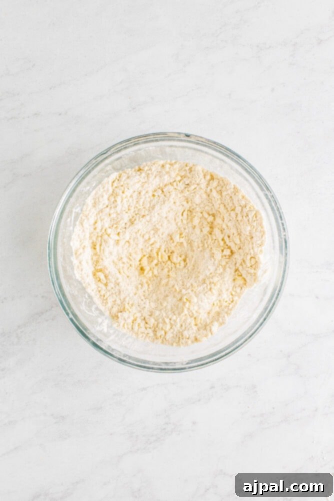 A close-up of a bowl filled with flour, showing its fine texture, ready for biscuit preparation.