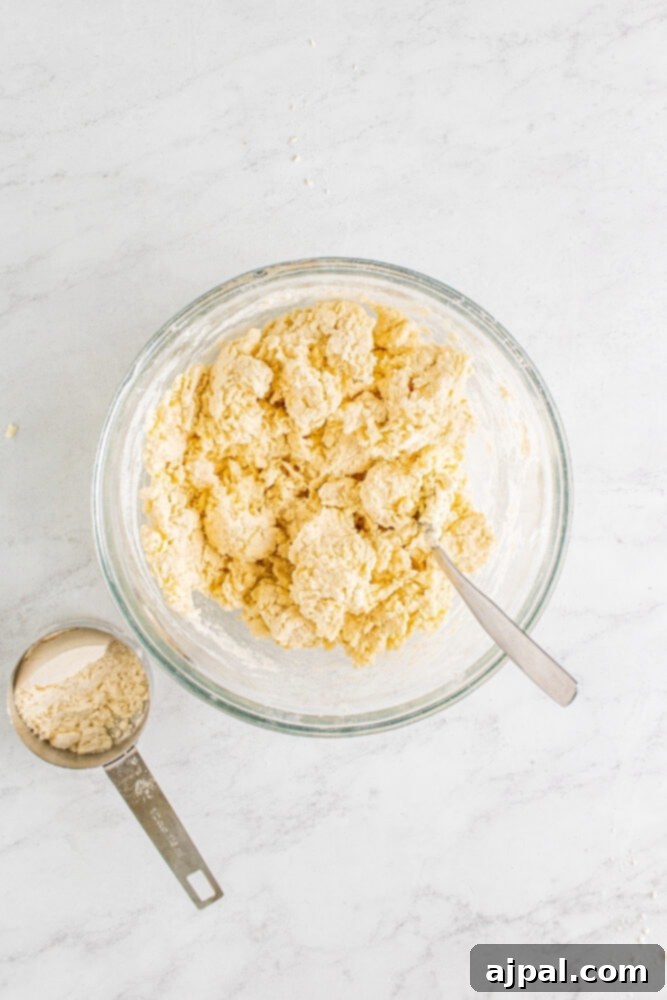 The fully combined biscuit dough mixture, resembling coarse sand with visible bits of butter, ready for kneading.