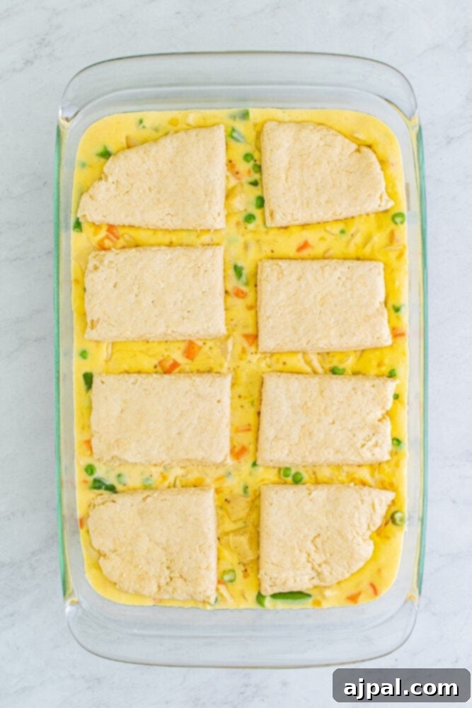 Eight pieces of biscuit dough carefully arranged on top of the turkey pot pie filling in the baking dish.