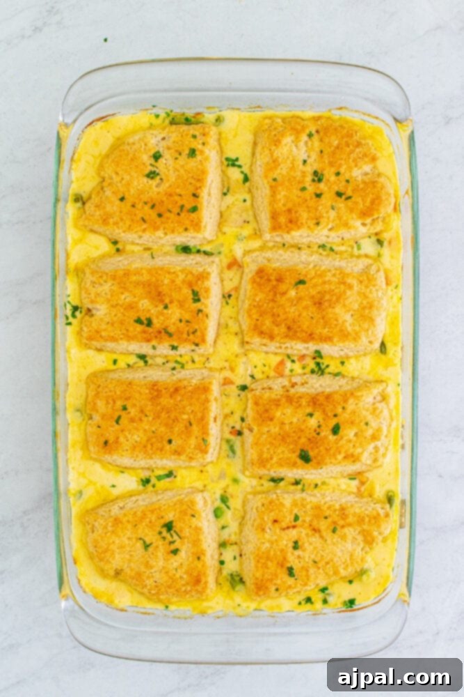 The finished turkey pot pie casserole, with golden-brown biscuits, fresh from the oven and resting on a table.